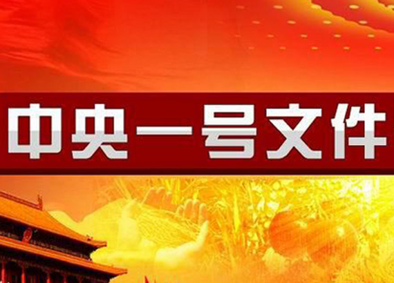 中央一号文件一般是什么时候发布?-炒股吧